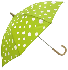 a spotty green umbrella 